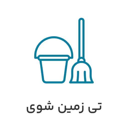 تی-زمین-شوی